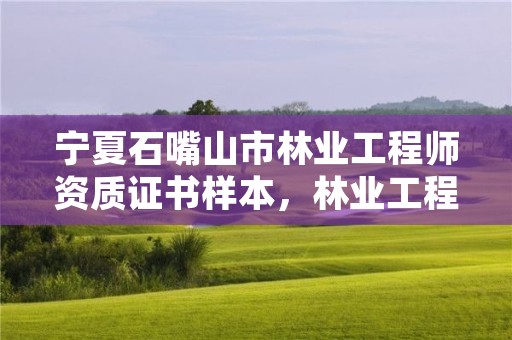 宁夏石嘴山市林业工程师资质证书样本,林业工程师资格
