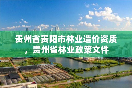 贵州省贵阳市林业造价资质，贵州省林业政策文件