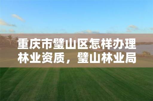 重庆市璧山区怎样办理林业资质,璧山林业局在哪里