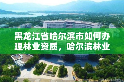 黑龙江省哈尔滨市如何办理林业资质,哈尔滨林业公司