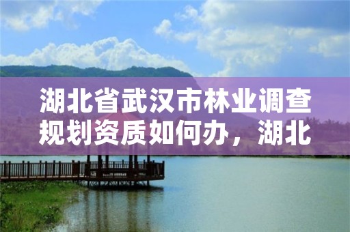 湖北省武汉市林业调查规划资质如何办,湖北省林业调查规划院待遇怎么样