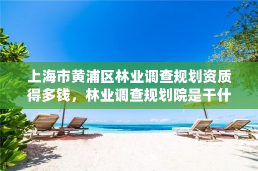 上海市黄浦区林业调查规划资质得多钱,林业调查规划院是干什么的