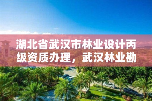 湖北省武汉市林业设计丙级资质办理,武汉林业勘察设计院