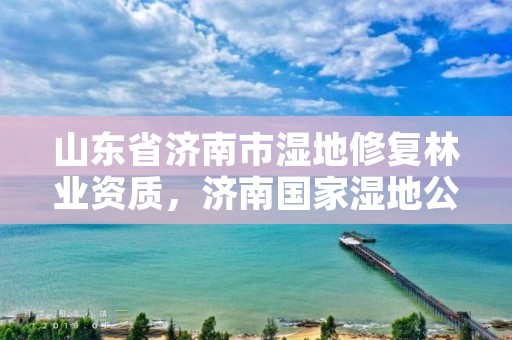 山东省济南市湿地修复林业资质,济南国家湿地公园占地多少亩
