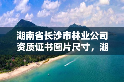 湖南省长沙市林业公司资质证书图片尺寸，湖南林业信息网林权证查询