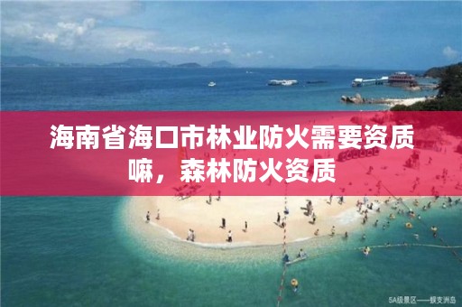 海南省海口市林业防火需要资质嘛,森林防火资质