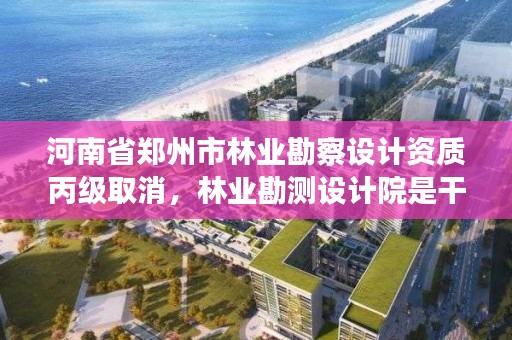 河南省郑州市林业勘察设计资质丙级取消,林业勘测设计院是干嘛的