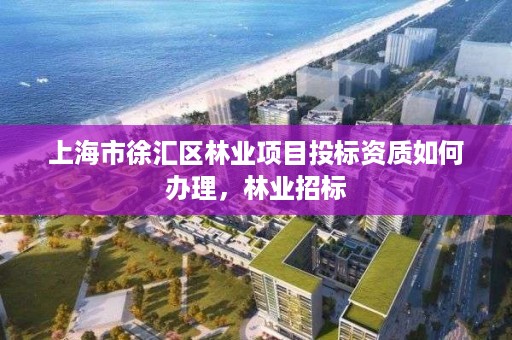 上海市徐汇区林业项目投标资质如何办理,林业招标