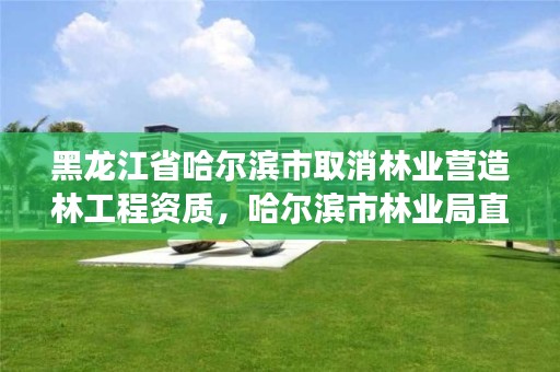 黑龙江省哈尔滨市取消林业营造林工程资质,哈尔滨市林业局直属林场