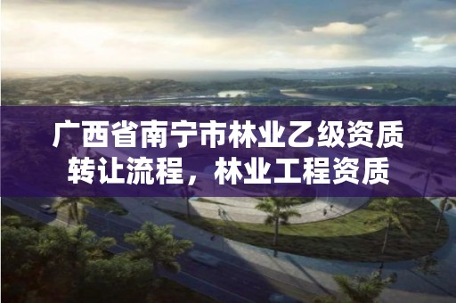 广西省南宁市林业乙级资质转让流程,林业工程资质