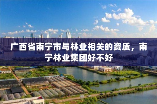 广西省南宁市与林业相关的资质,南宁林业集团好不好