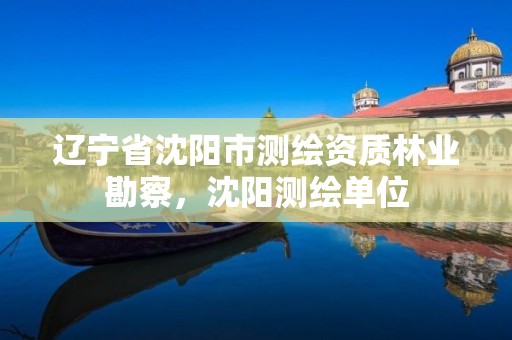 辽宁省沈阳市测绘资质林业勘察,沈阳测绘单位