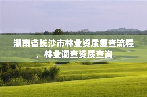 湖南省长沙市林业资质复查流程，林业调查资质查询