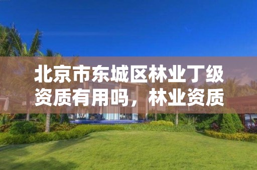北京市东城区林业丁级资质有用吗，林业资质证书丙级