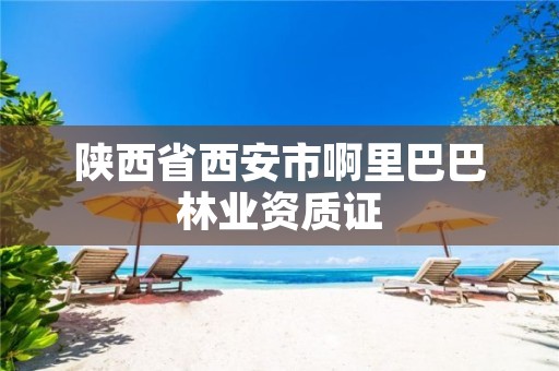 陕西省西安市啊里巴巴林业资质证