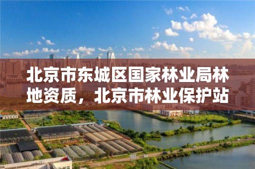 北京市东城区国家林业局林地资质，北京市林业保护站