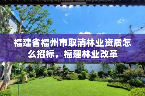 福建省福州市取消林业资质怎么招标,福建林业改革