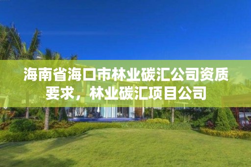 海南省海口市林业碳汇公司资质要求,林业碳汇项目公司