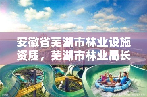安徽省芜湖市林业设施资质,芜湖市林业局长