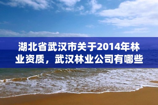湖北省武汉市关于2014年林业资质,武汉林业公司有哪些