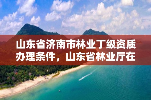 山东省济南市林业丁级资质办理条件,山东省林业厅在哪