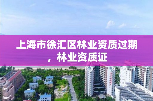 上海市徐汇区林业资质过期,林业资质证