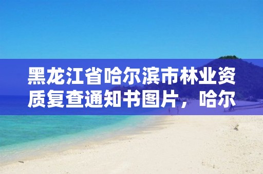黑龙江省哈尔滨市林业资质复查通知书图片,哈尔滨市林业局官网
