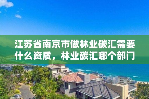 江苏省南京市做林业碳汇需要什么资质,林业碳汇哪个部门审批