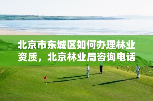 北京市东城区如何办理林业资质，北京林业局咨询电话
