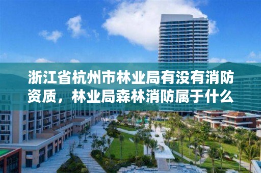 浙江省杭州市林业局有没有消防资质，林业局森林消防属于什么编制