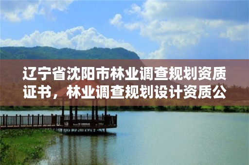 辽宁省沈阳市林业调查规划资质证书,林业调查规划设计资质公示