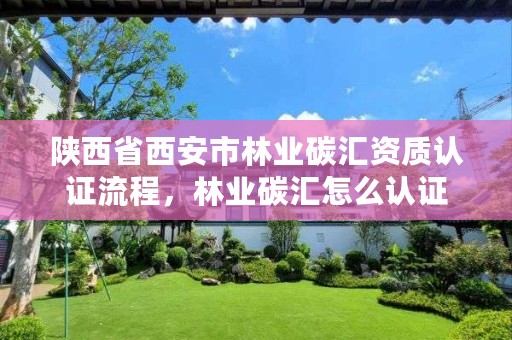 陕西省西安市林业碳汇资质认证流程，林业碳汇怎么认证