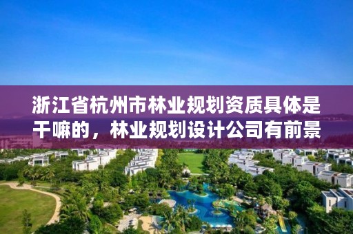 浙江省杭州市林业规划资质具体是干嘛的，林业规划设计公司有前景吗