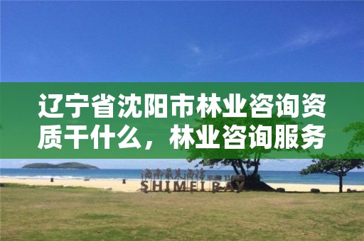辽宁省沈阳市林业咨询资质干什么,林业咨询服务