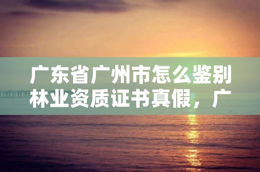 广东省广州市怎么鉴别林业资质证书真假，广东省林权证