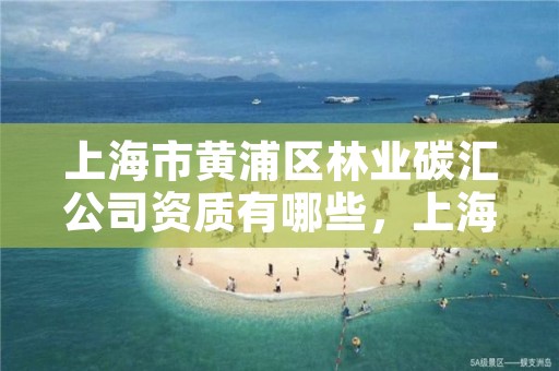 上海市黄浦区林业碳汇公司资质有哪些,上海碳汇林实业有限公司