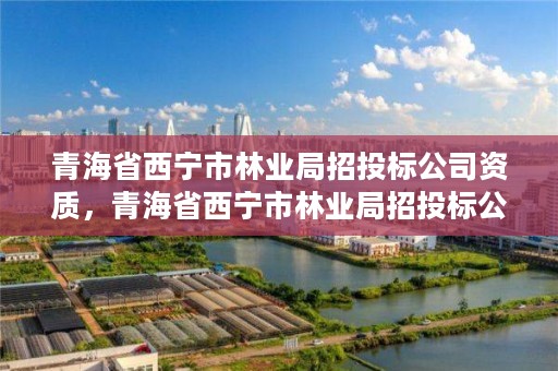 青海省西宁市林业局招投标公司资质，青海省西宁市林业局招投标公司资质证书查询
