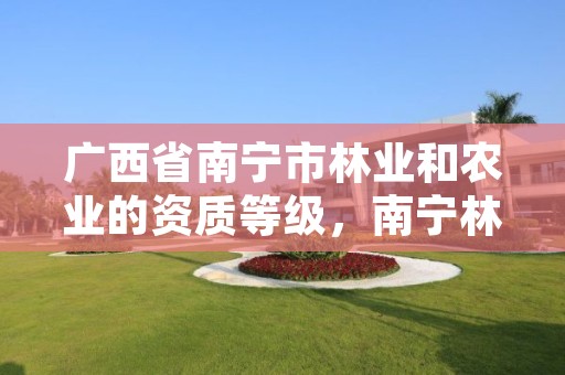 广西省南宁市林业和农业的资质等级,南宁林业集团地址