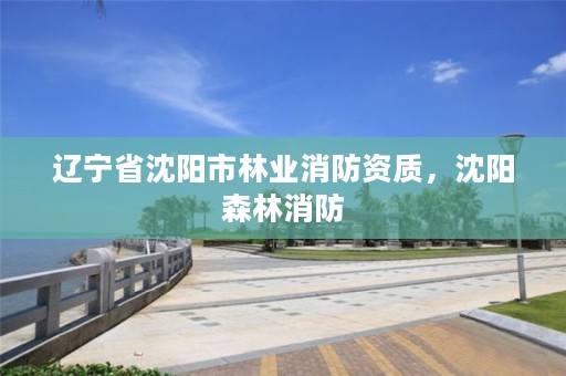 辽宁省沈阳市林业消防资质,沈阳森林消防