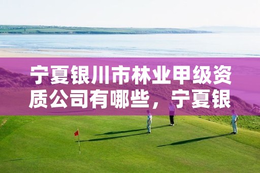 宁夏银川市林业甲级资质公司有哪些,宁夏银川市林业甲级资质公司有哪些企业