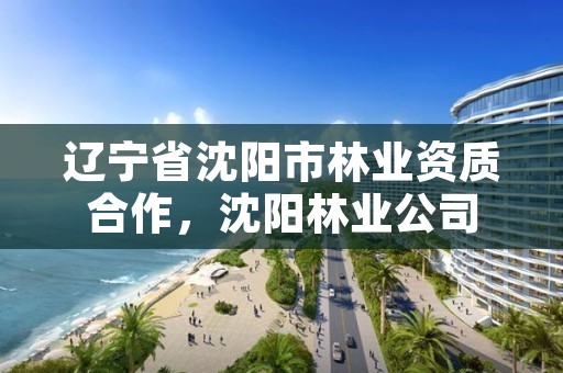 辽宁省沈阳市林业资质合作，沈阳林业公司