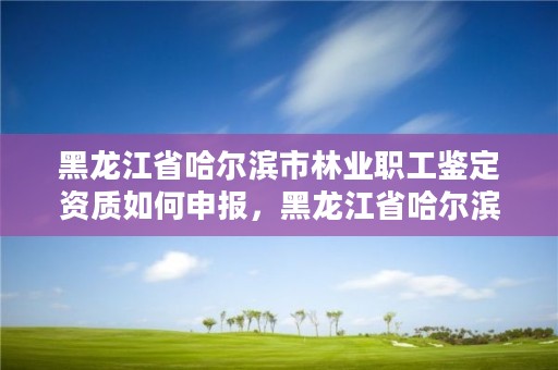 黑龙江省哈尔滨市林业职工鉴定资质如何申报,黑龙江省哈尔滨市林业局官网