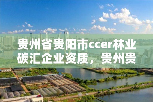 贵州省贵阳市ccer林业碳汇企业资质，贵州贵碳碳汇传销