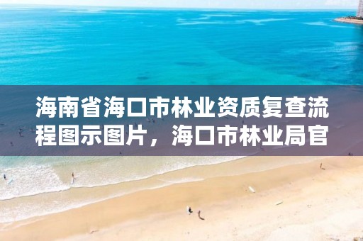 海南省海口市林业资质复查流程图示图片,海口市林业局官网
