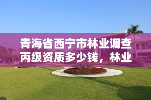 青海省西宁市林业调查丙级资质多少钱，林业调查乙级资质证书