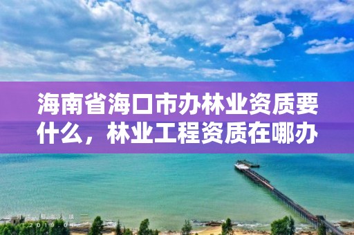 海南省海口市办林业资质要什么,林业工程资质在哪办
