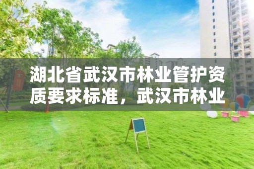 湖北省武汉市林业管护资质要求标准,武汉市林业集团