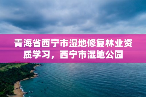 青海省西宁市湿地修复林业资质学习，西宁市湿地公园