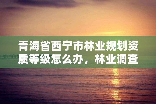 青海省西宁市林业规划资质等级怎么办，林业调查规划设计资质申报