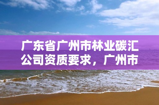 广东省广州市林业碳汇公司资质要求，广州市国碳林业碳汇资产管理公司